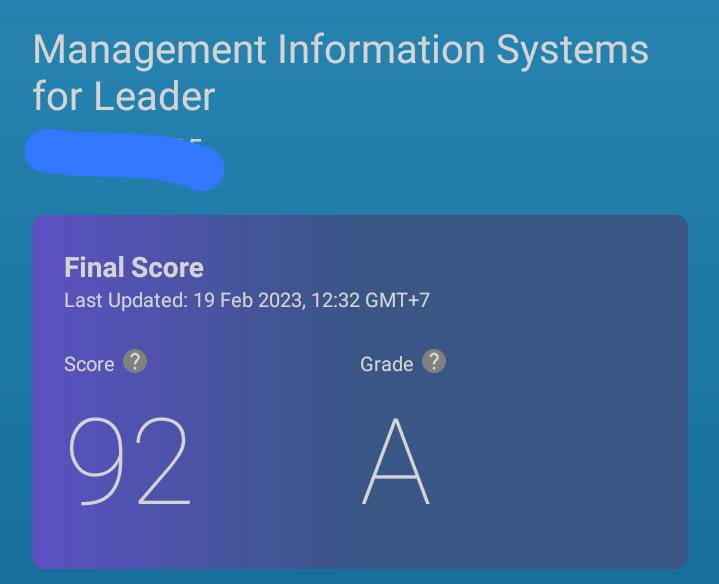 Management Info Systems